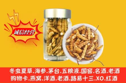 庆阳华池县回收散虫草